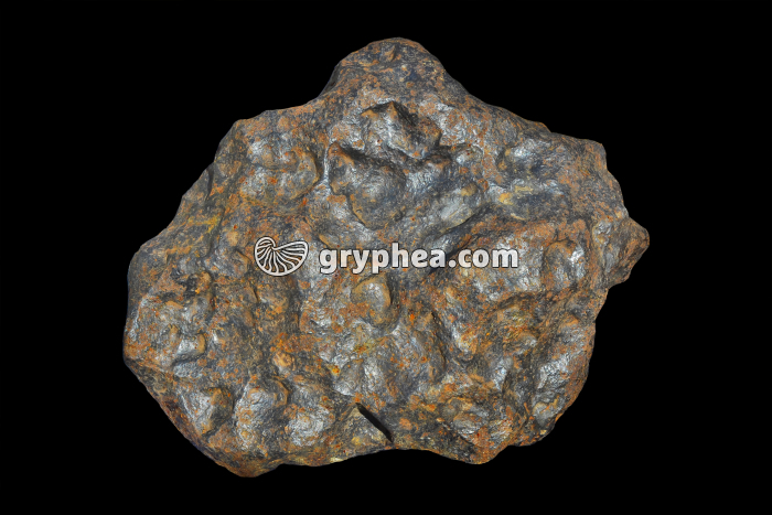 Météorite Octahedrite - gryphea.org